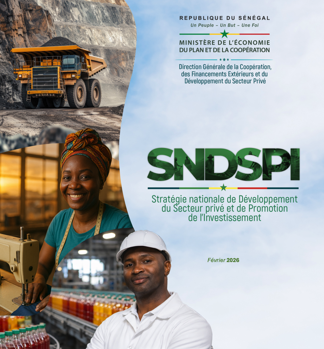 Stratégie nationale de Développement du Secteur privé et de Promotion de l’Investissement (SNDSPI)